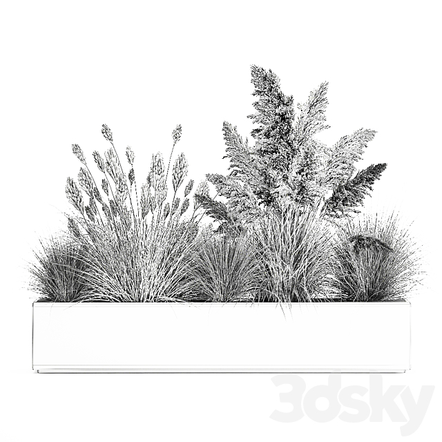Collection of plants in a pot Pampas grass. reeds. bushes. landscape design. white. flowerbed. Set 1077 3DSMax File - thumbnail 7