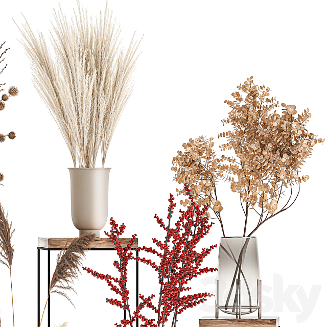 Bouquet set 212. Dried flower. vase. decor. shelf. branches. thorns. pampas grass 3DSMax File - thumbnail 4