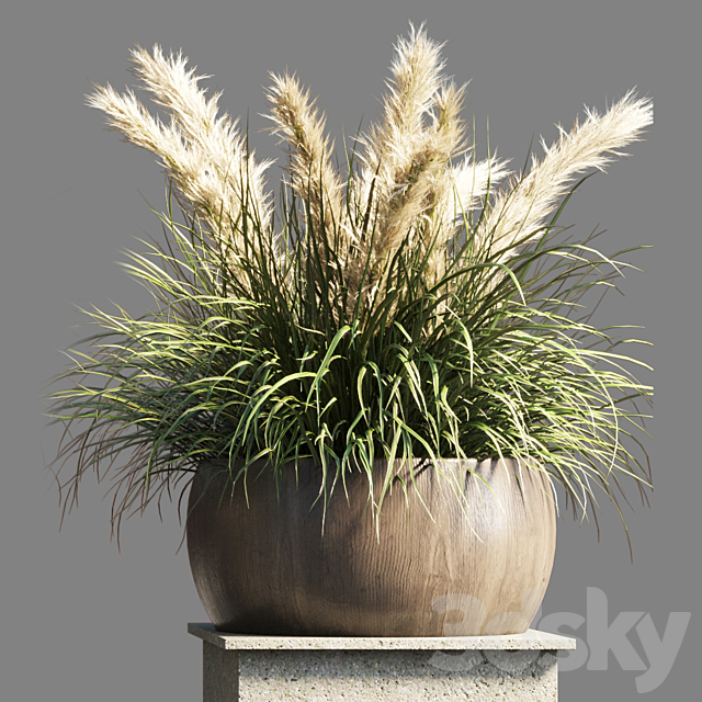 Collection outdoor indoor 70 pot palnt grass the dry pampas stand vase wooden 3DSMax File - thumbnail 4