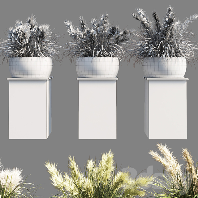 Collection outdoor indoor 70 pot palnt grass the dry pampas stand vase wooden 3DSMax File - thumbnail 5