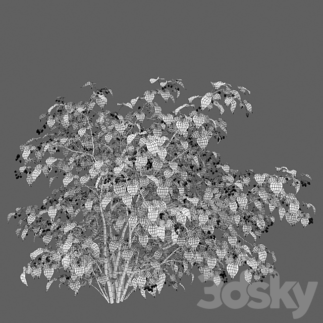 3d Download