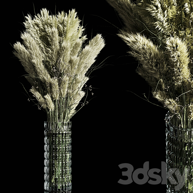 Dry Plants pampas Bouquet Indoor glass vase 3DSMax File - thumbnail 1