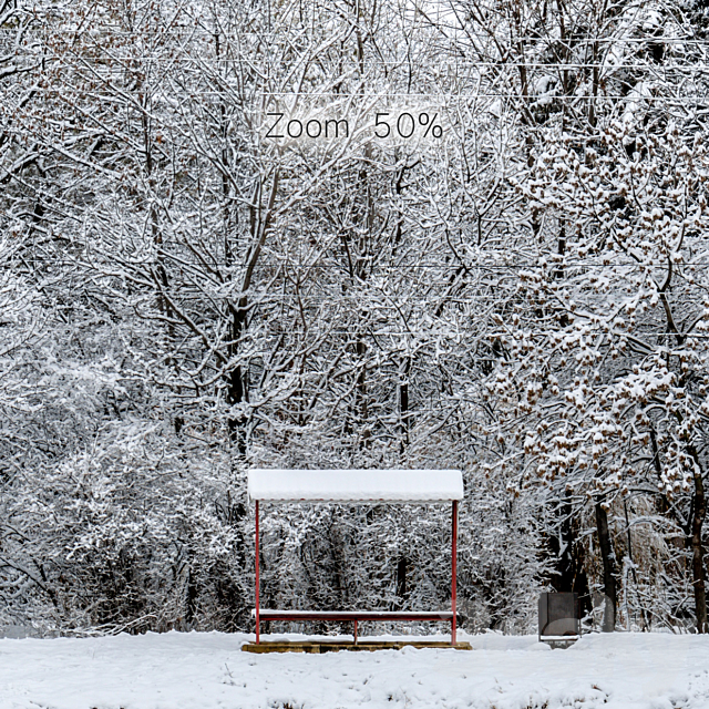 Panorama of the park with a lake and snow-covered trees. 46k 3d
