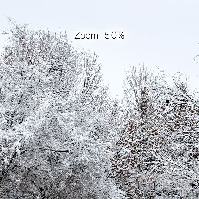 Panorama of the park with a lake and snow-covered trees. 46k 3dskyfree