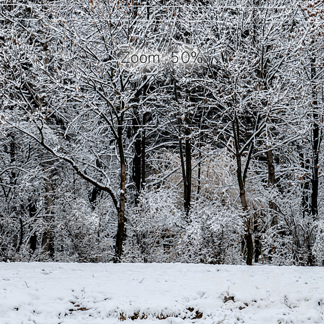 Panorama of the park with a lake and snow-covered trees. 46k 3dmodel