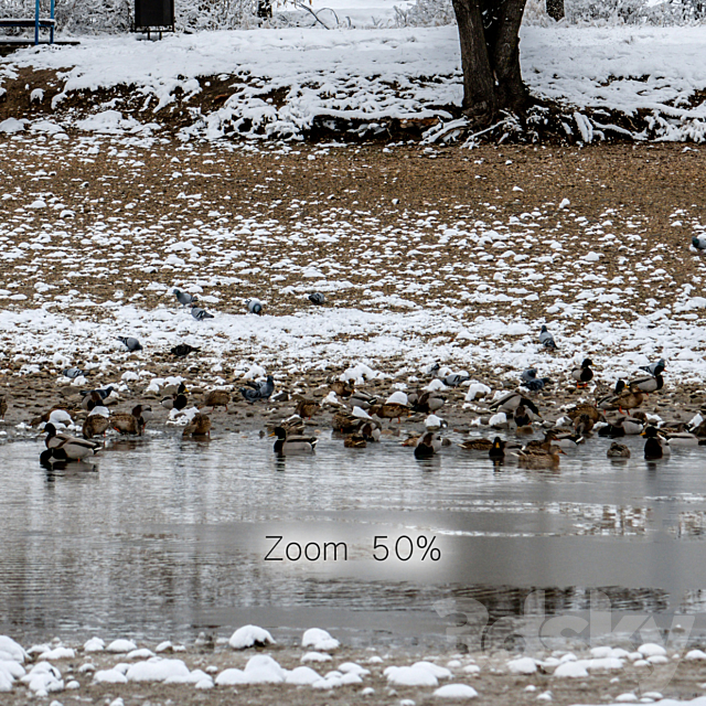Panorama of the park with a lake and snow-covered trees. 46k 3d Download