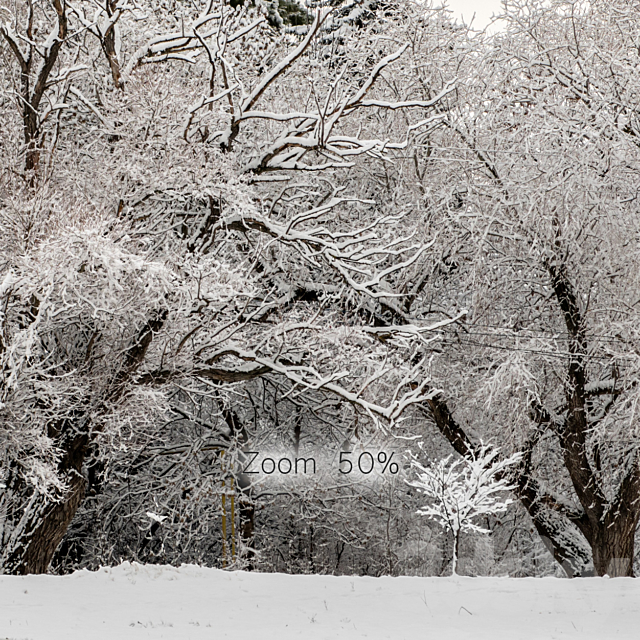 Panorama of the park and snow-covered trees. 45k 3DSMax File - thumbnail 7