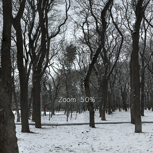 HDRI map from the winter park. 30k 3dskyfree