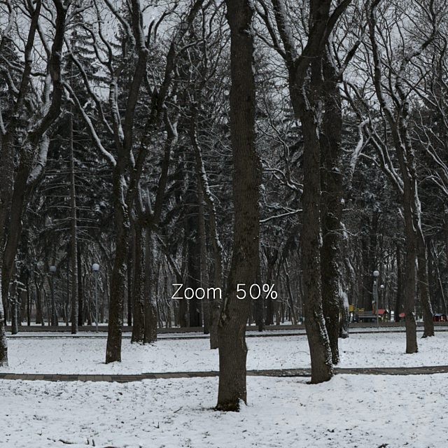 HDRI map from the winter park. 30k 3dmodel
