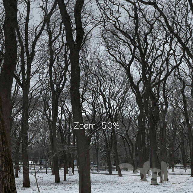HDRI map from the winter park. 30k 3d Download