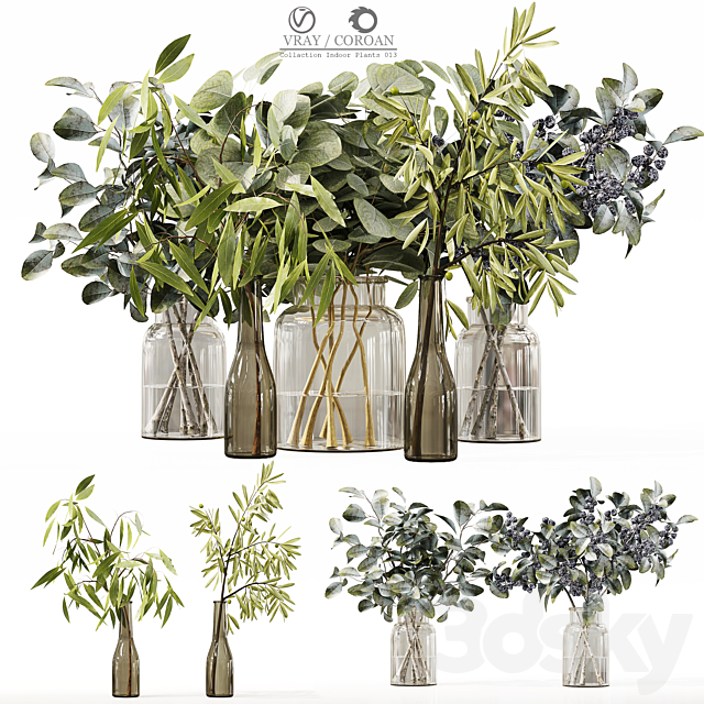 Collection Indoor Plants 013 3DSMax File - thumbnail 1