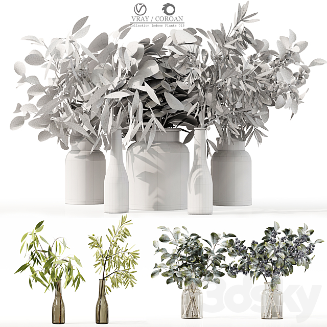 Collection Indoor Plants 013 3DSMax File - thumbnail 6