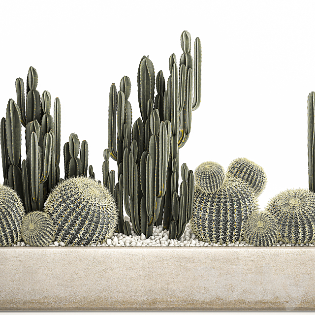 Collection of desert plants in a vase of cacti. cereus and echinocactus. barrel cactus. Set 1097. 3dsky