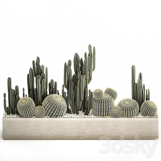 3ds Max Files | Collection Of Desert Plants In A Vase Of Cacti. Cereus ...
