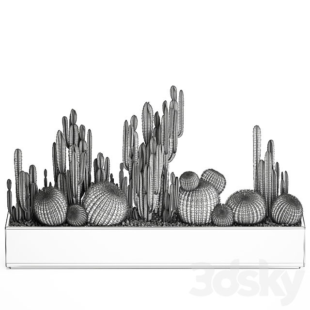 Collection of desert plants in a vase of cacti. cereus and echinocactus. barrel cactus. Set 1097. 3d Download