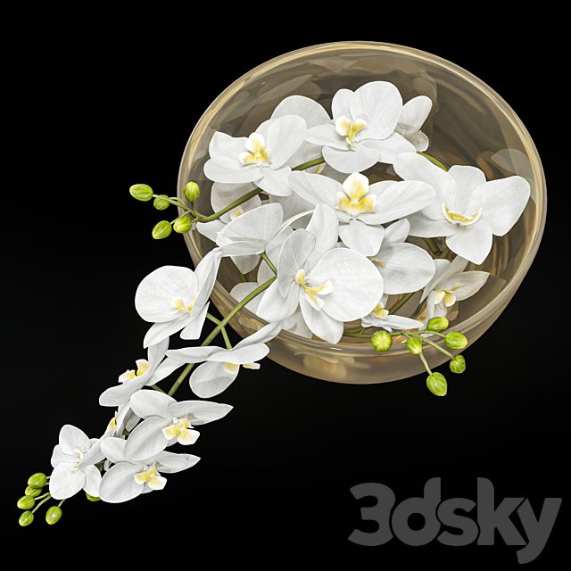 3dsky