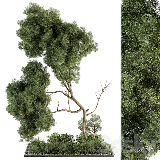 Garden Set Plants and Tree – Outdoor Plants Set 355 3DSMax File - thumbnail 1