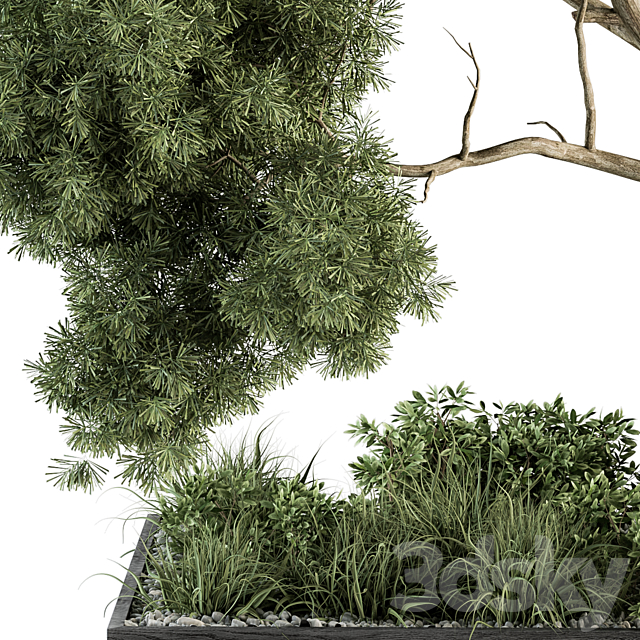 Garden Set Plants and Tree – Outdoor Plants Set 355 3DSMax File - thumbnail 3