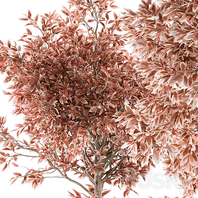Outdoor Plant Set 359 - Pink Plant Set in Concrete Pot 3d