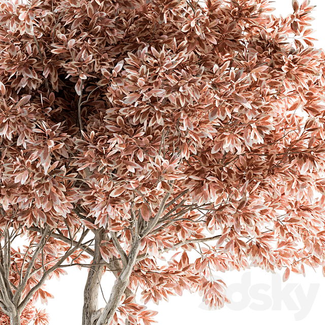 Outdoor Plant Set 359 - Pink Plant Set in Concrete Pot 3dsky