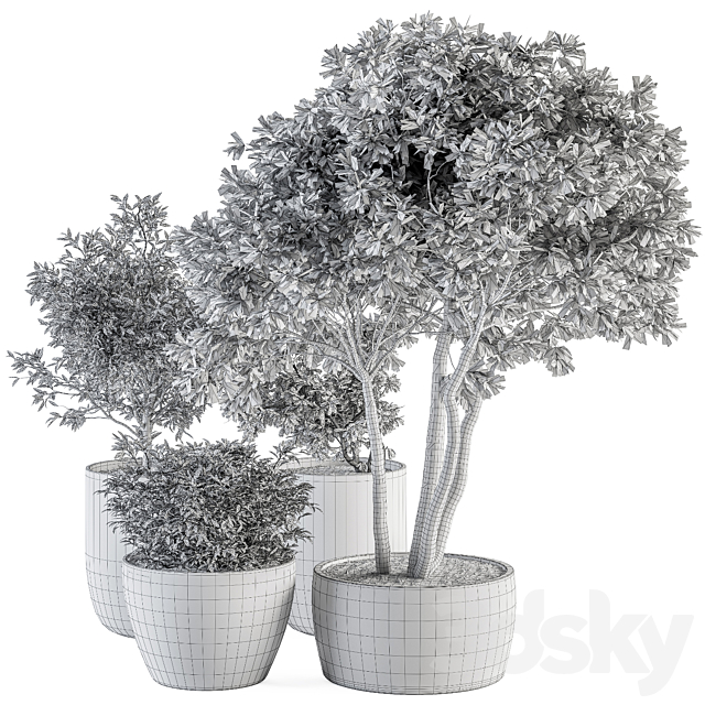 Outdoor Plant Set 359 - Pink Plant Set in Concrete Pot 3dskyfree