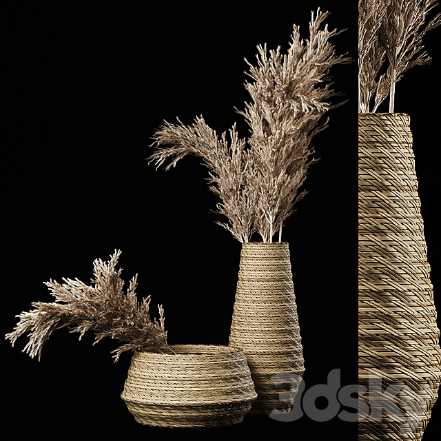 Dried Pampas Bouquet in Rattan Wicker Vases 3DSMax File - thumbnail 1