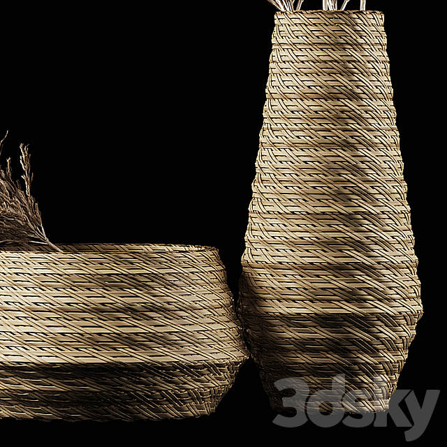 Dried Pampas Bouquet in Rattan Wicker Vases 3DSMax File - thumbnail 4