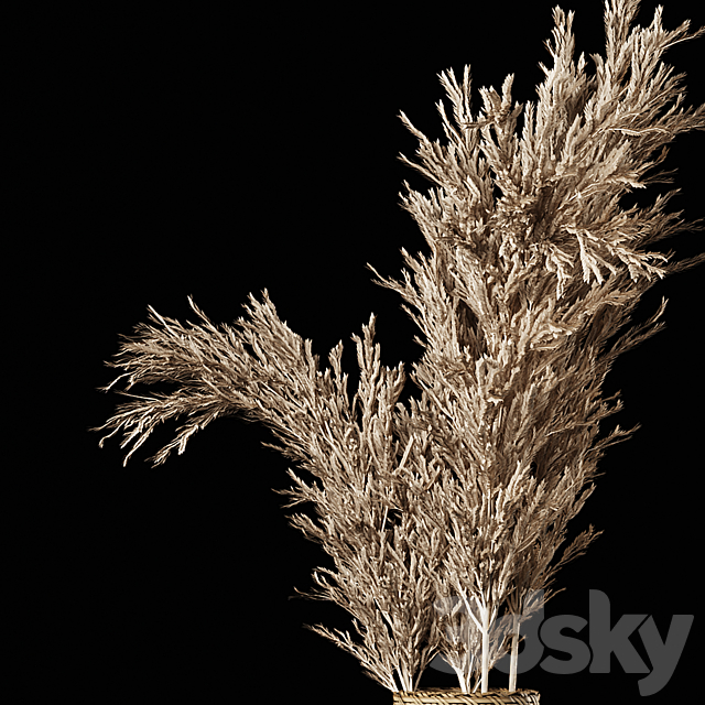 Dried Pampas Bouquet in Rattan Wicker Vases 3DSMax File - thumbnail 5