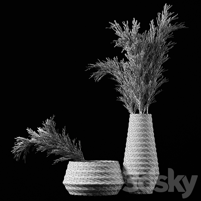 Dried Pampas Bouquet in Rattan Wicker Vases 3DSMax File - thumbnail 6