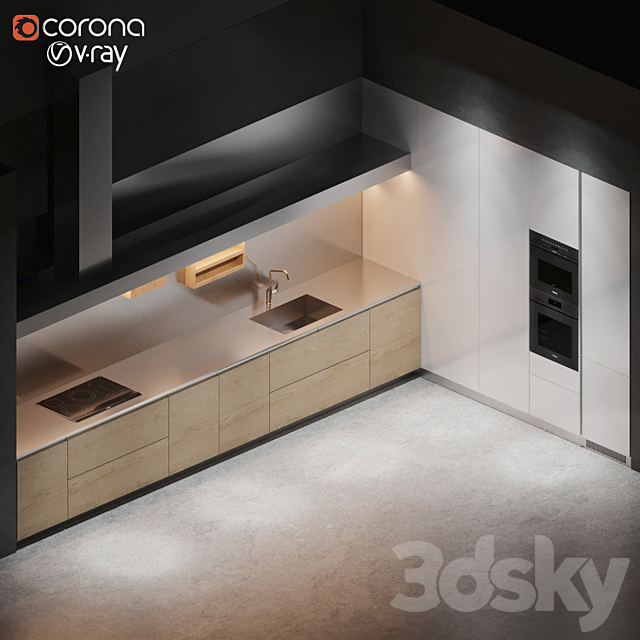 3D Model