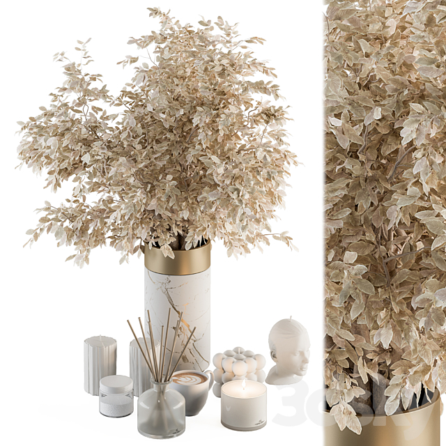white and Gold Decorative Set with Dried plant – Set 106 3DSMax File - thumbnail 1