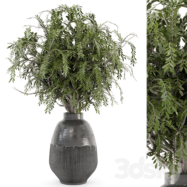 Bouquet Plants in rusty Concrete Pots – Set 562 3DSMax File - thumbnail 1
