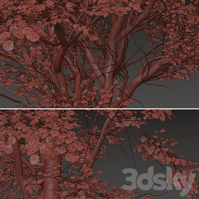 3dskyfree