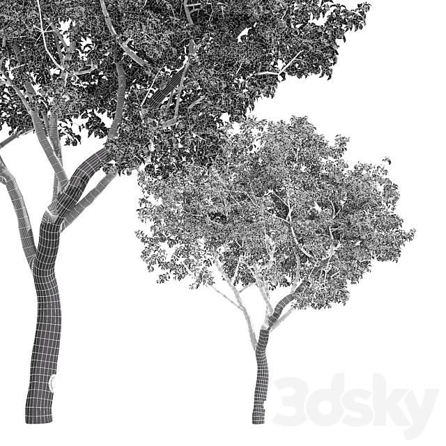 3dsky Free Download