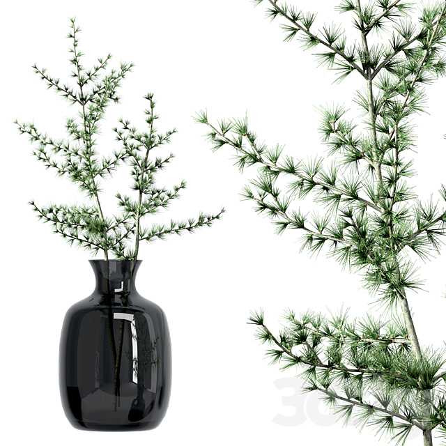 Set of branches in vases 3DSMax File - thumbnail 3