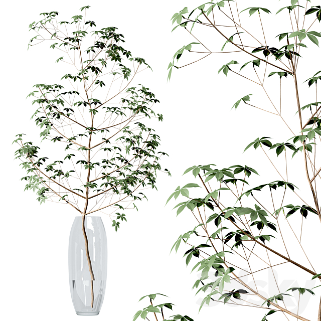 Set of branches in vases 3DSMax File - thumbnail 4