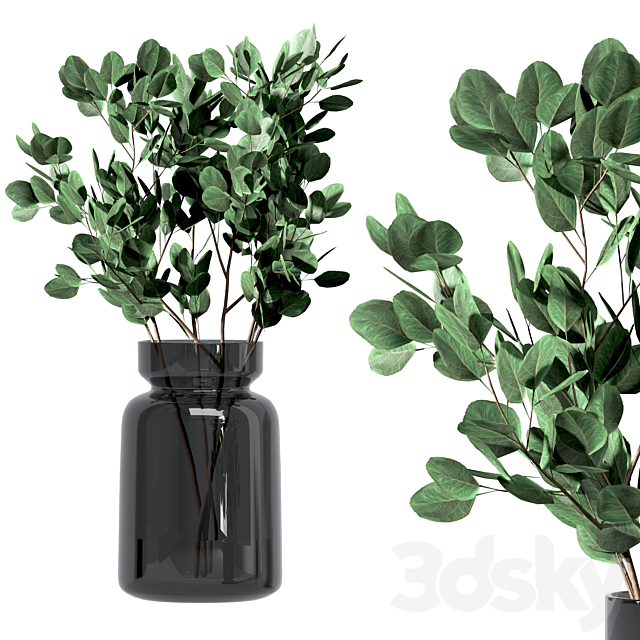 Set of branches in vases 3DSMax File - thumbnail 5