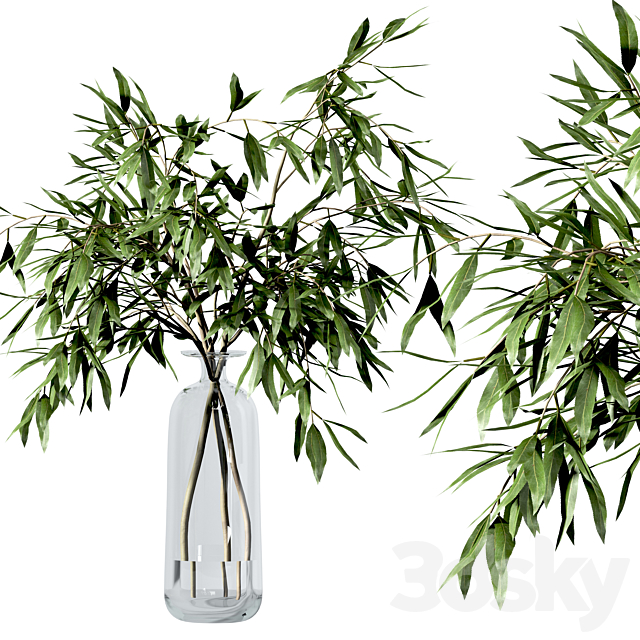 Set of branches in vases 3DSMax File - thumbnail 6