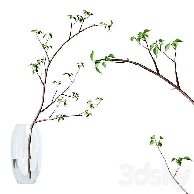 Set of branches in vases 3DSMax File - thumbnail 7