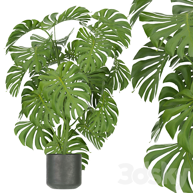 3dsky Free Download