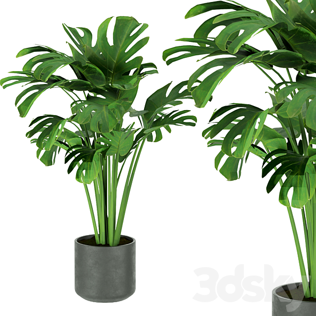 3dsky