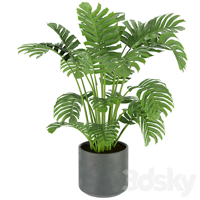 3D Model
