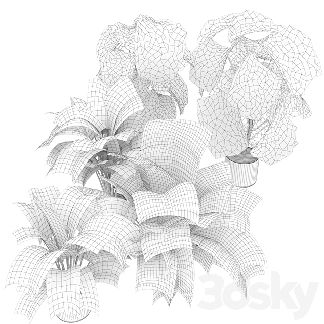3d Download