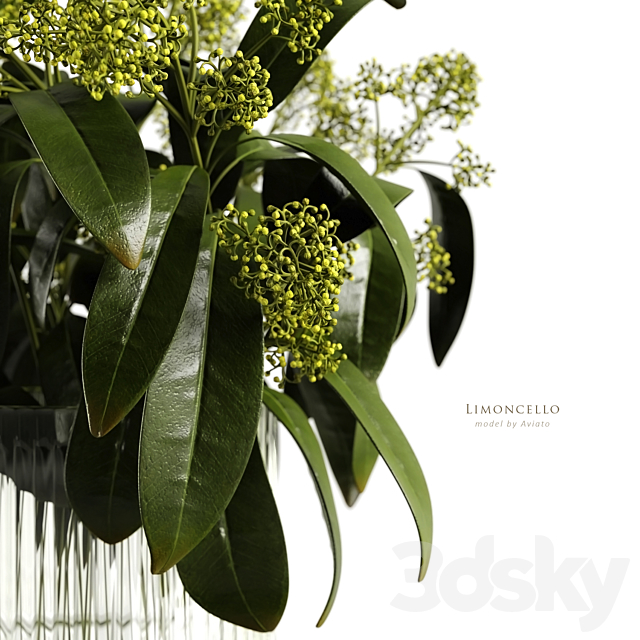 Limoncello 3d