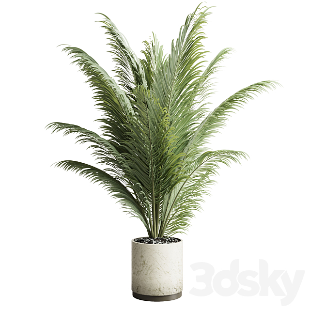 indoor plant pot palm concrete dirt vase 220 3DSMax File - thumbnail 1