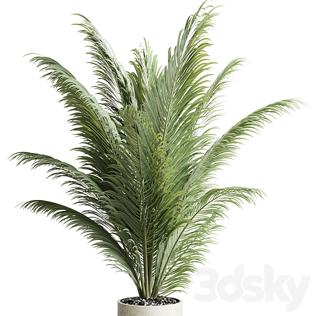 indoor plant pot palm concrete dirt vase 220 3DSMax File - thumbnail 3