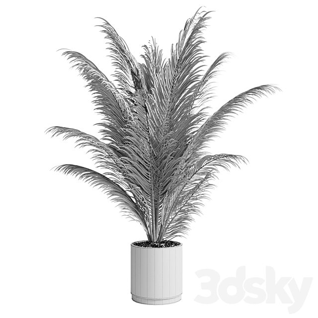 indoor plant pot palm concrete dirt vase 220 3DSMax File - thumbnail 4