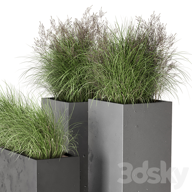 Outdoor Plants Bush in rusty Concrete Pot – Set 665 3DSMax File - thumbnail 4