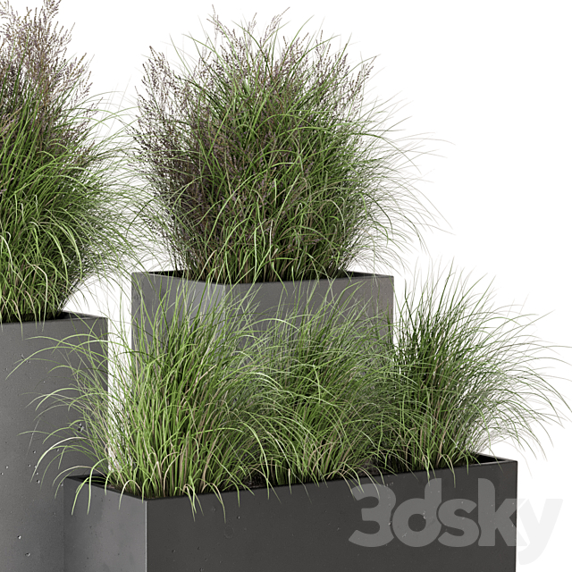 Outdoor Plants Bush in rusty Concrete Pot – Set 665 3DSMax File - thumbnail 5