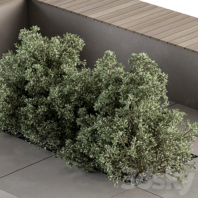 3dsky Free Download